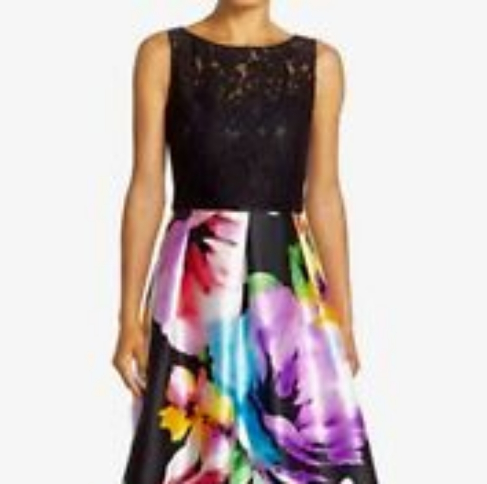 Ellen Tracey Dress
